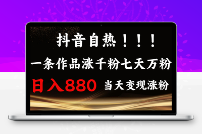 抖音小红书自热，一条作品1000粉，7天万粉，单日变现880收益-好资源网