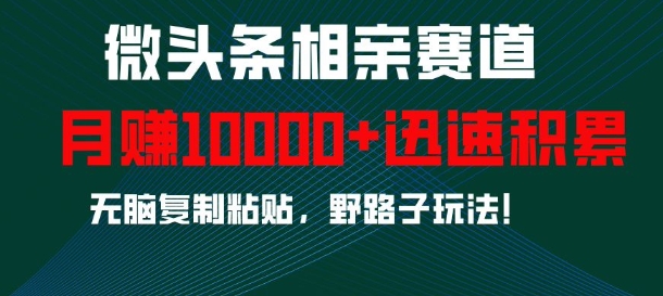 微头条相亲赛道，迅速积累，无脑复制粘贴，野路子玩法，月入1w-好资源网