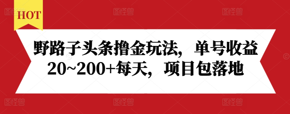 野路子头条撸金玩法，单号收益20~200+每天，项目包落地-好资源网