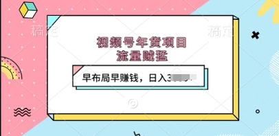 视频号年货项目，流量贼猛，早布局早挣钱，日入上k【揭秘】-好资源网