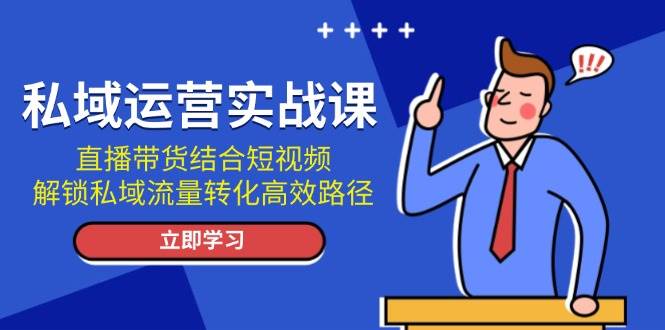 私域运营实战课：直播带货结合短视频，解锁私域流量转化高效路径-好资源网