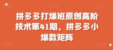 拼多多打爆班原创高阶技术第41期，拼多多小爆款矩阵-好资源网