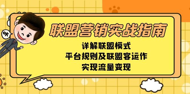 联盟营销实战指南，详解联盟模式、平台规则及联盟客运作，实现流量变现-好资源网