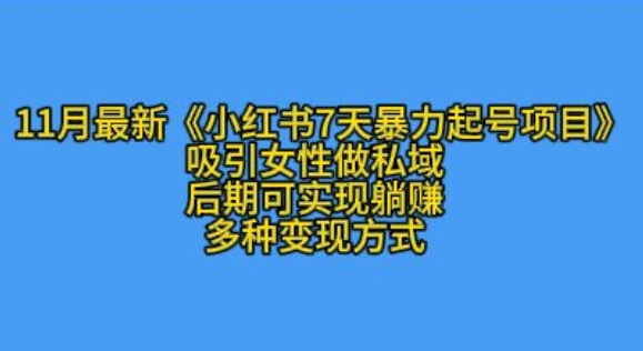 K总部落11月最新小红书7天暴力起号项目，吸引女性做私域【揭秘】-好资源网