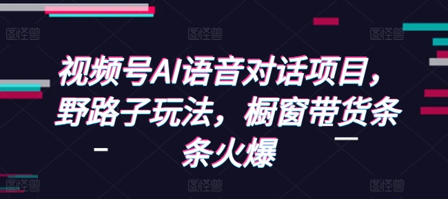 视频号AI语音对话项目，野路子玩法，橱窗带货条条火爆-好资源网