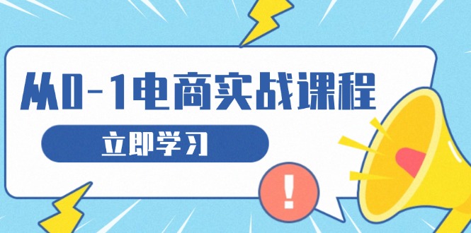 从零做电商实战课程，教你如何获取访客、选品布局，搭建基础运营团队-好资源网