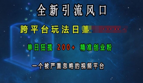全新引流风口，跨平台玩法日入上k，单日狂揽200+精准创业粉，一个被严重忽略的视频平台-好资源网