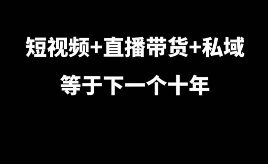 短视频+直播带货+私域等于下一个十年，大佬7年实战经验总结-好资源网