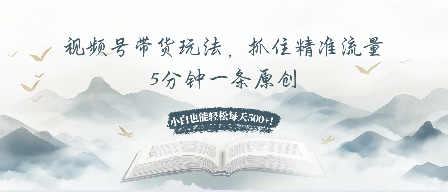视频号带货玩法，抓住精准流量，5分钟一条原创，小白也能轻松每天500+！-好资源网