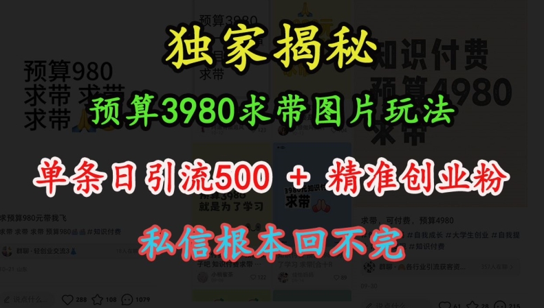 预算3980求带 图片玩法，单条日引流500+精准创业粉，私信根本回不完-好资源网
