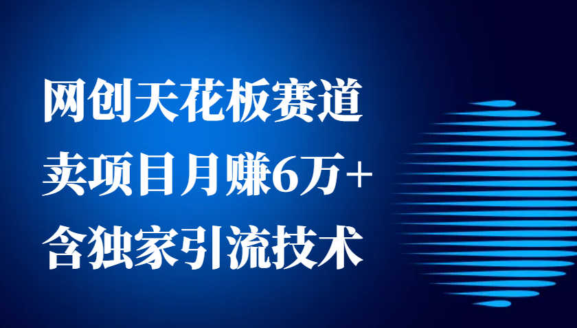网创天花板赛道，卖项目月赚6万+，含独家引流技术(共26节课)-好资源网