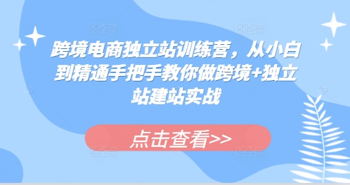 跨境电商独立站训练营，从小白到精通手把手教你做跨境+独立站建站实战-好资源网