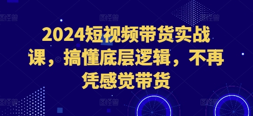 2024短视频带货实战课，搞懂底层逻辑，不再凭感觉带货-好资源网