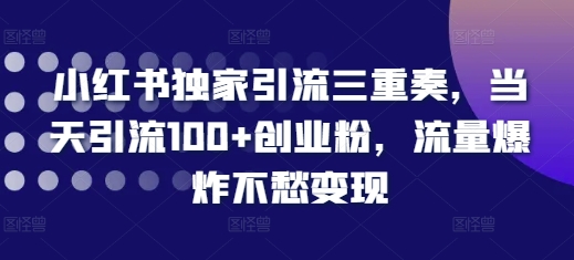 小红书独家引流三重奏，当天引流100+创业粉，流量爆炸不愁变现【揭秘】-好资源网
