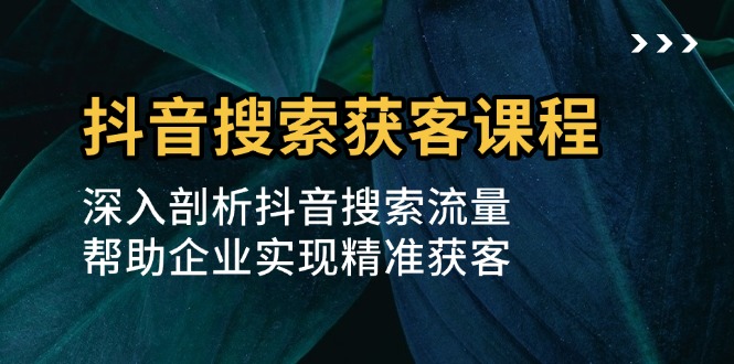抖音搜索获客课程：深入剖析抖音搜索流量，帮助企业实现精准获客-好资源网