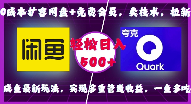 0成本扩容网盘+免费会员，卖技术，拉新，咸鱼最新玩法，实现多重管道收益，一鱼多吃，轻松日入500+-好资源网
