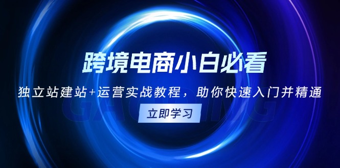 跨境电商小白必看！独立站建站+运营实战教程，助你快速入门并精通-好资源网