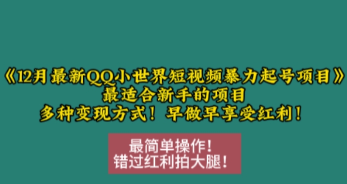 12月最新QQ小世界短视频暴力起号项目，最适合新手的项目，多种变现方式-好资源网