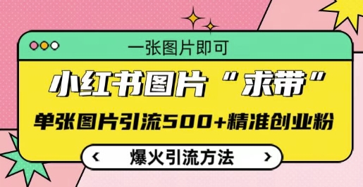 小红书图片‘求带’爆火引流法，单张图片引流500+精准创业粉【揭秘】-好资源网